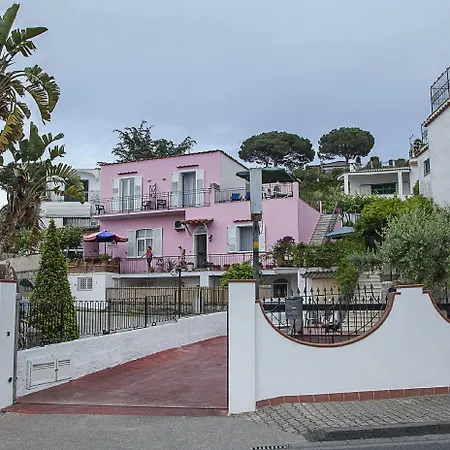 Bed & Breakfast Luna Di Miele Casamicciola Terme